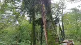Близкое расположение к известным достопримечательностям города Сочи
